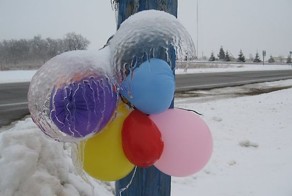 Смешная фотогалерея