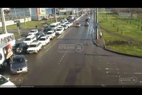 Выскочил на лужайку