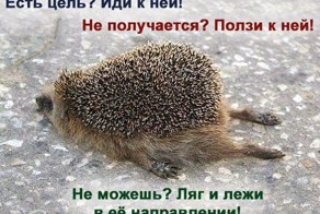 Фото прикол