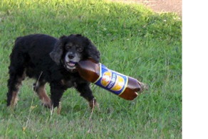 Знакомый полицейский рассказал