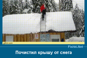 Прикол картинка