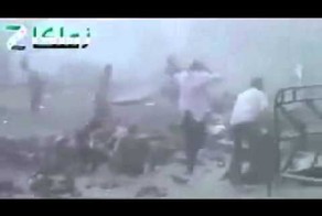 Размножение шахидов делением (коллективная премия Дарвина) 