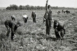 Привычки, которые есть только у нашего человека!