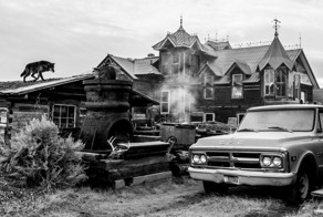 Сюрреалистические фотографии диких животных