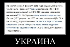 солянка политическая #12