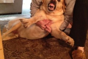 Прикольные фото