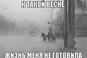 Новый фотоприкол