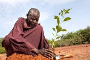 Человек, который остановил пустыню