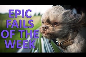 Подборка Приколов Апрель 2015 года