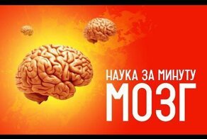 Наука  за минуту