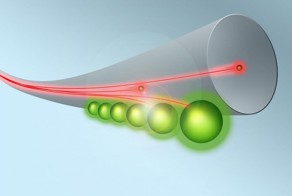 Ученым удалось «остановить» свет