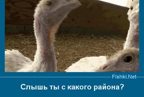 Прекрасные фото