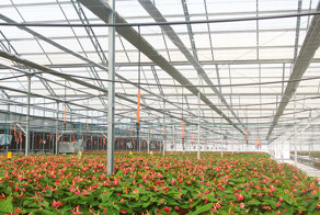 Schadenfreude -  злорадное удовлетворение от неудач других