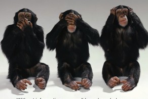 В Литве &quot;за пропаганду&quot; прервано вещание &quot;РТР-Планета&quot;