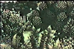 Жил был пёс