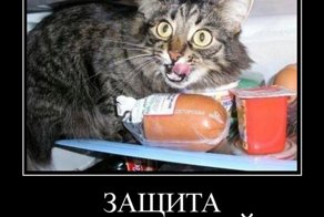 Доцент