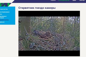 Жизнь продолжается