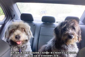 Фотоподборка за 10.04.15