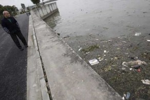 2 800 мертвых свиней плавают в китайской реке (8 фото)