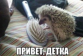 Прикольные фото и картинки от zubrilov за 15.03.2013 №149788