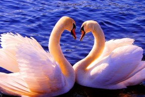 Сила целомудрия