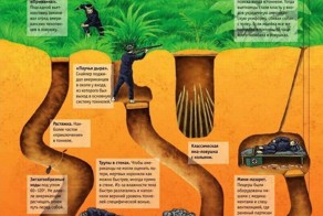 Тайна вьетнамских подземных партизан