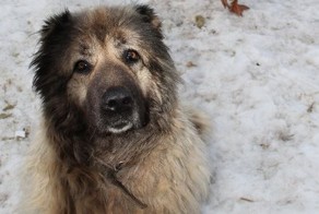 Рута и Мартина. Невероятная история друзей