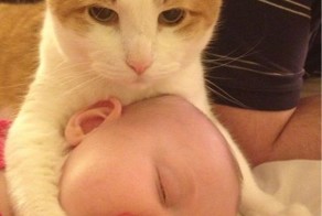 Прикольные фото