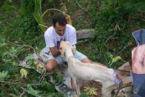 Чудесное спасение умирающей собаки замечательным человеком