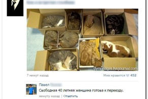 Смешные комментарии из социальных сетей 13.04.15