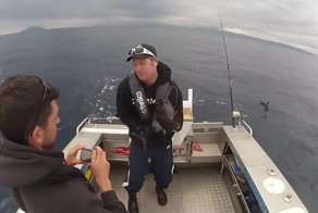 Подборка Кубиков