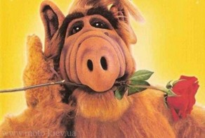 20 любимых сериалов детства конца 80-х, о которых мы подзабыли