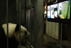 Бесплатный фотоприкол