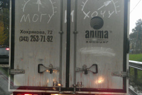 Фотоохота телефоном