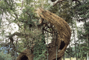 Хитросплетённое искусство