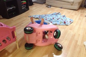 Свежий фотоприкол