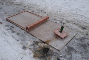 Прекрасные фото