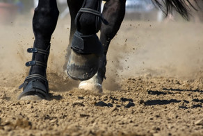 Мощность и крутящий момент — что это?