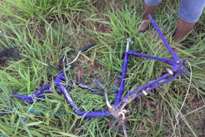 Пьяный водитель убил двух велосипедисток