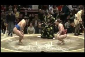 Самый короткий бой в сумо