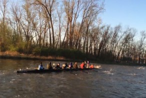 Азиатские карпы атакуют