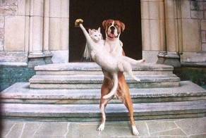 Фотоприкол дня