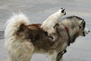 Прикольные фото