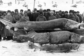 Редкие исторические снимки