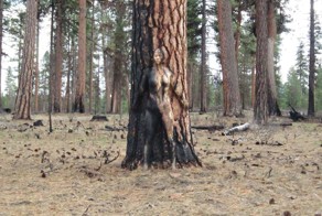 Затерянные в пейзаже