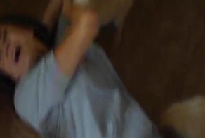 На девушку натравили стаю собак