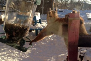 Фотоподборка