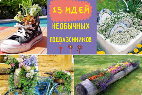 15 неожиданных решений по озеленению