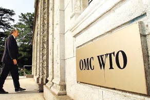 США и ЕС выразили в ВТО обеспокоенность импортозамещением РФ