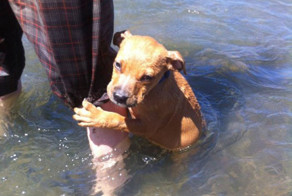 Подборка фотоприколов для поднятия настроения!